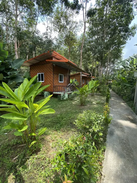 Khaosok Bamboo Huts Resort - Image 1