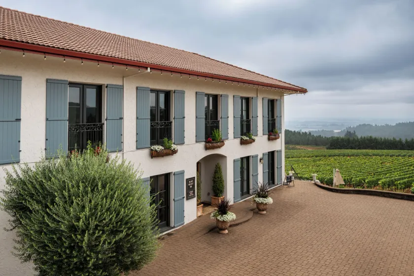 Black Walnut Inn & Vineyard - Image 1
