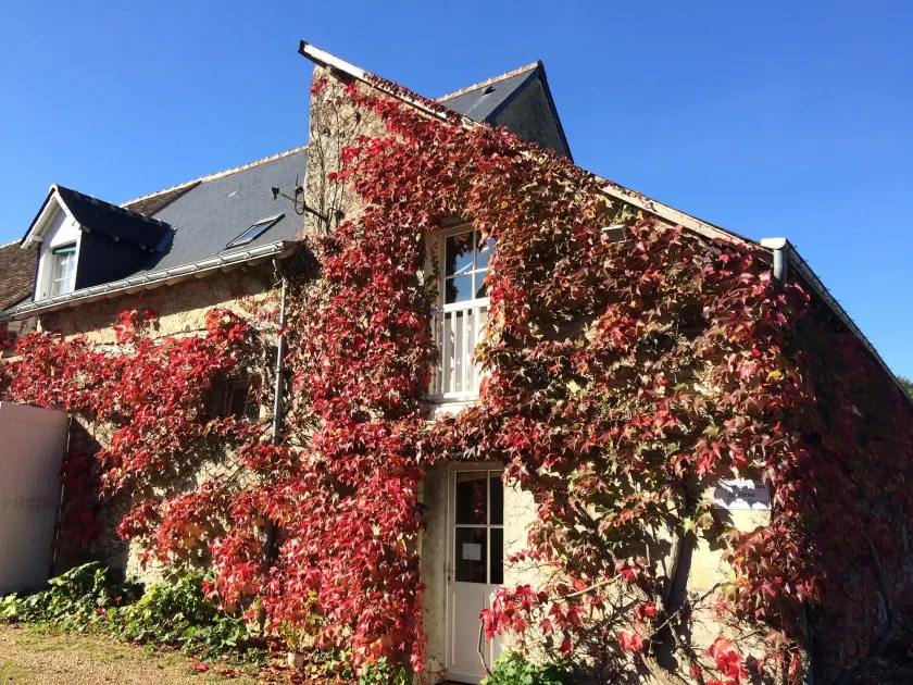 Chambres d'hôtes La Ferme du Grand Launay - Image 1