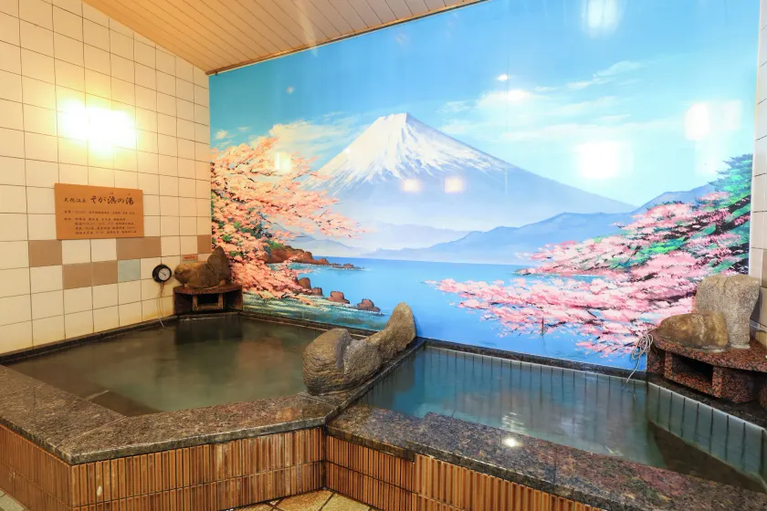 Dormy Inn Chiba City Soga - Image 1