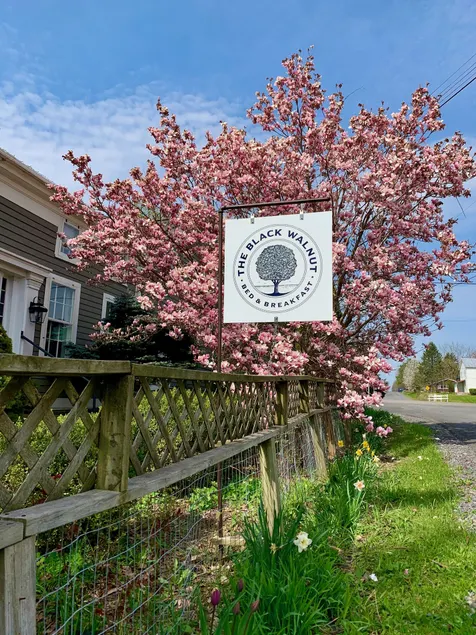 Black Walnut Bed and Breakfast - Image 1