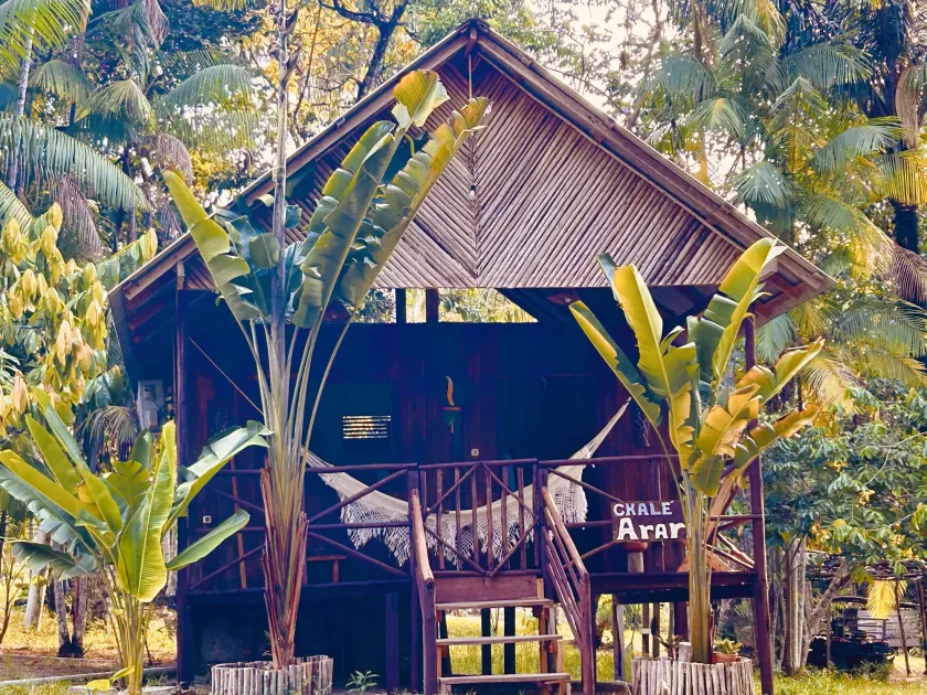 Ponta Poranga Jungle Lodge - Image 1