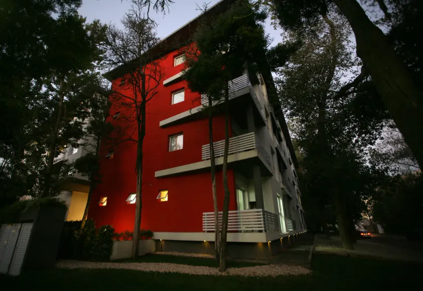 Avutarda de Carilo - Image 1