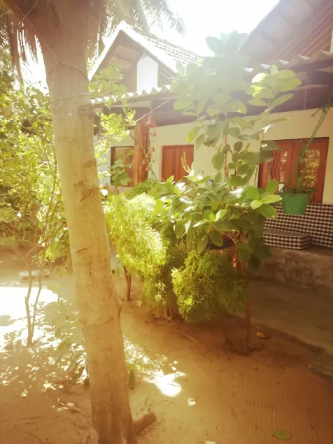 Bay Dreams Beach Hotel & Surf Camp - Image 1