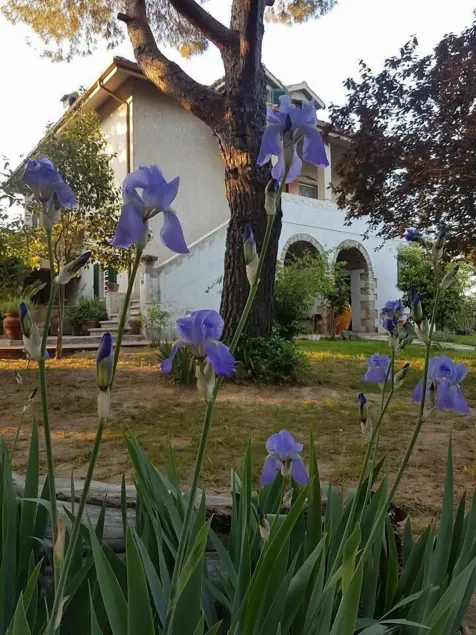 MeraVilla - Image 1