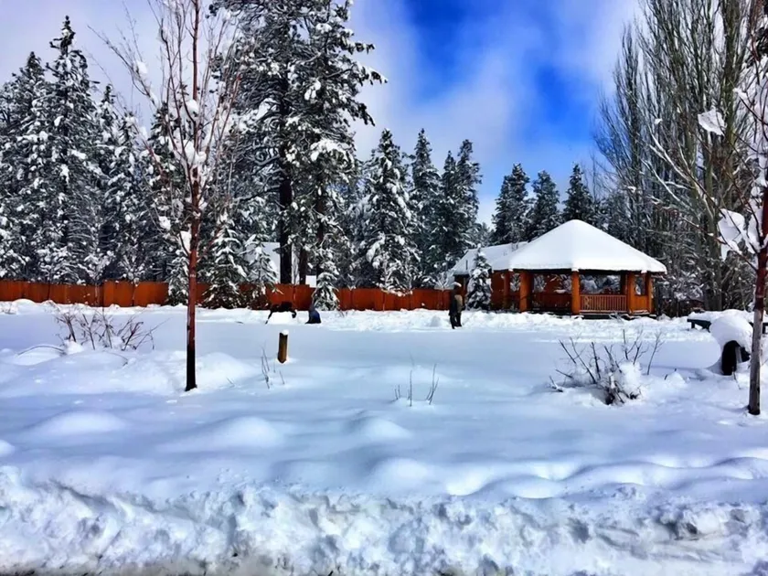 Bear Creek Resort - Image 1