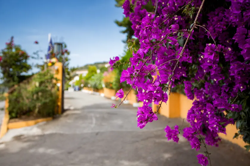 Hotel Santa Lucia - Image 1
