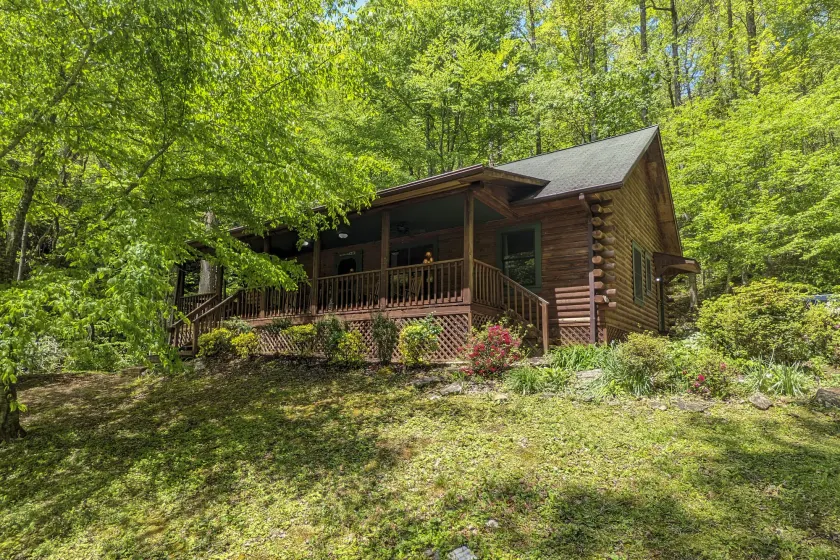 Cozy Blue Ridge Mountain Cabin on 18 Acre Lot - Image 1