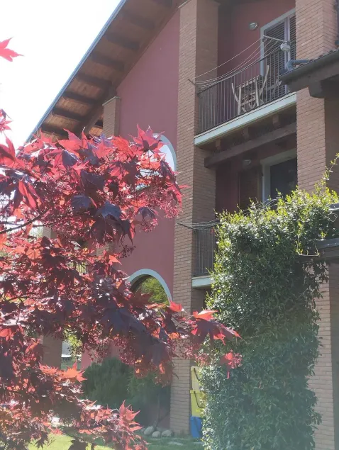 B&B Rubino - Image 1