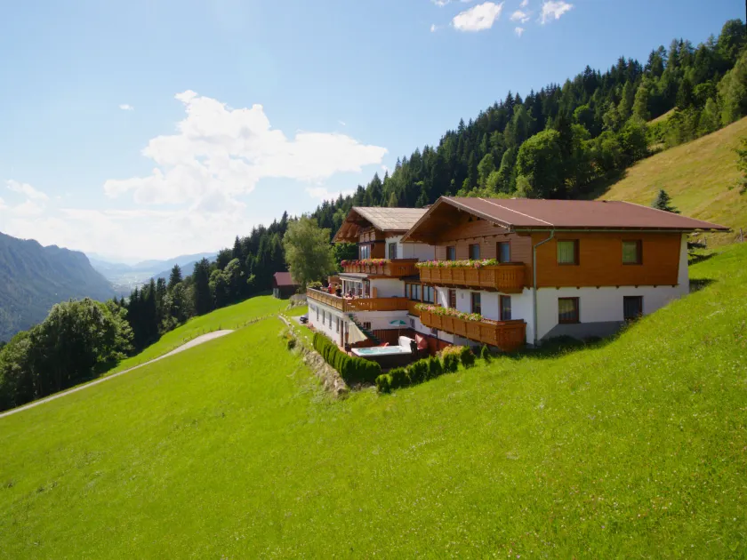 Pension Bergbauernhof Irxner - Image 1