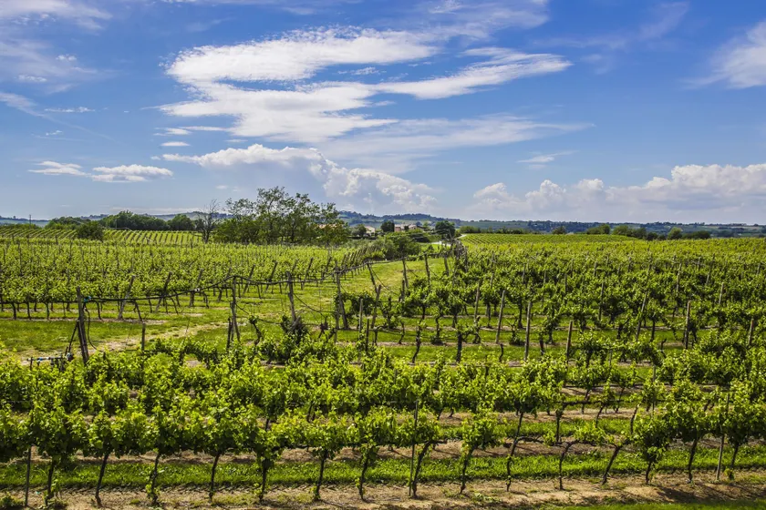 Agriturismo Trerè - Image 1
