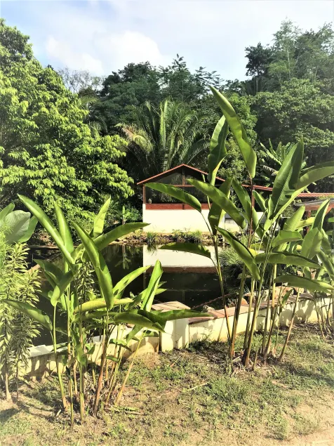 Sattva Land - Image 1