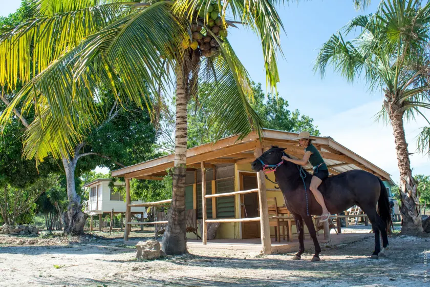 Backpackers Paradise - Image 1