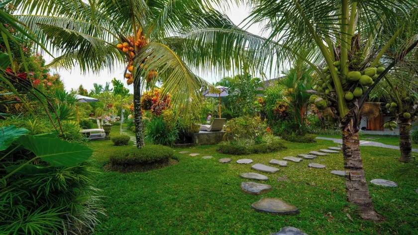 Green Coconut Cottage - Image 1