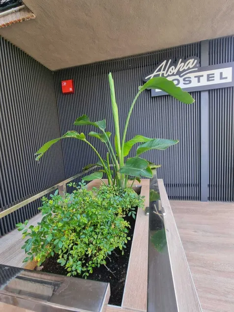 Aloha Surf Hostel - Image 1