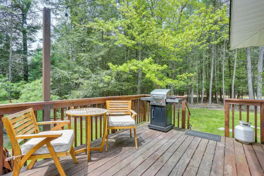 Cozy Swan Lake Apt w/ Grill + Private Yard - Image 1