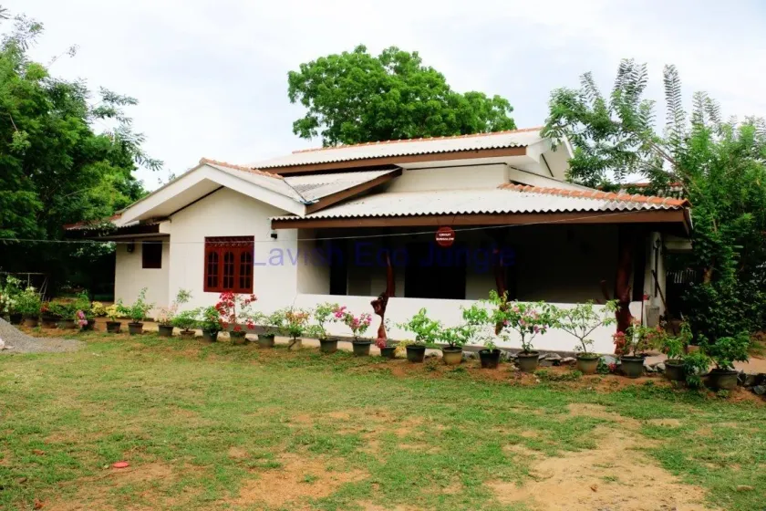 Lavish Eco Jungle - Image 1