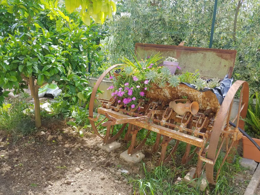 Villa Lucia B&B - Image 1
