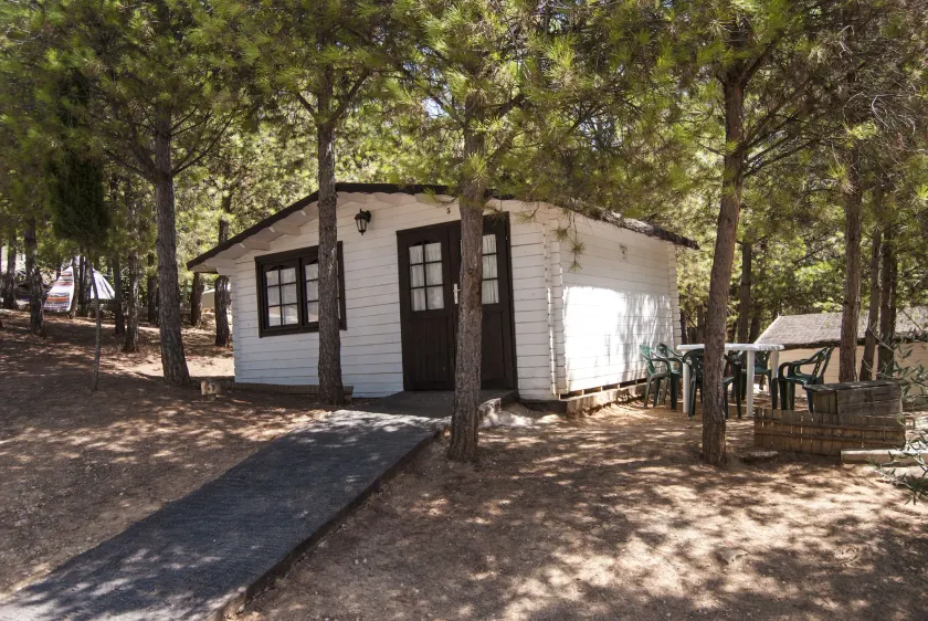 Alua Centro de Ocio - Camping Valdearenas - Image 1