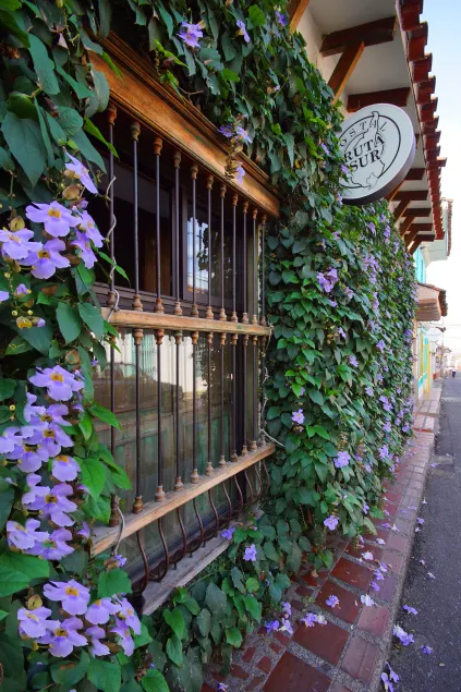 Casa Ruta Sur - Image 1
