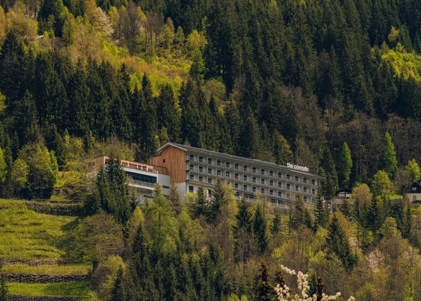 The Comodo Bad Gastein, a Member of Design Hotels - Image 1