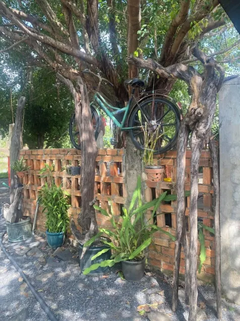 Homestay tay - Image 1