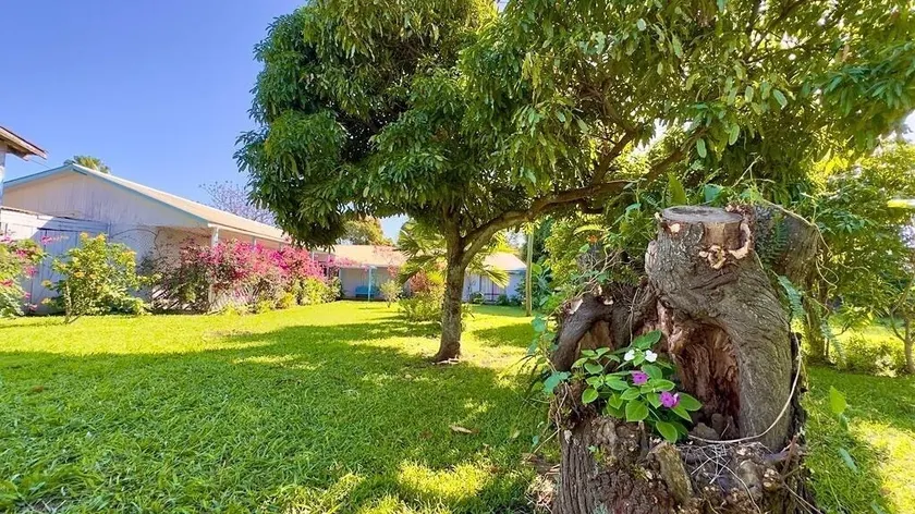 Kahina Lodge - Image 1