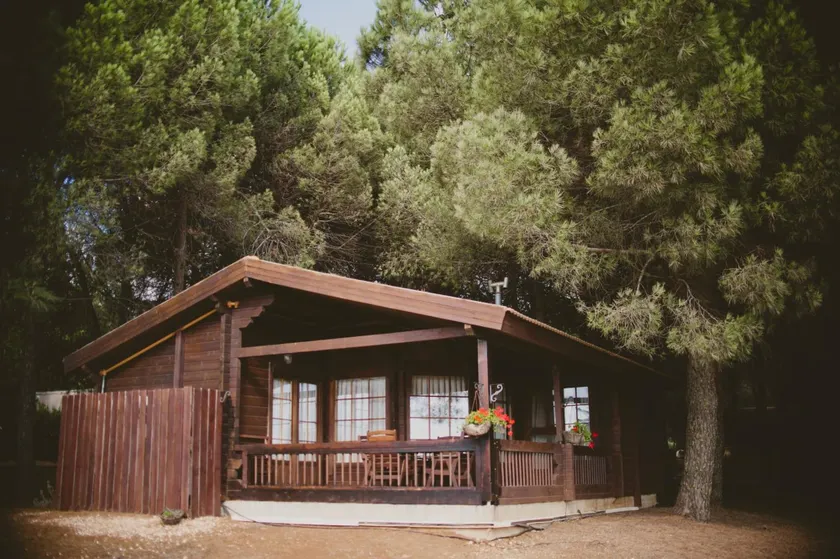 Kibbutz Ortal Tourism - Image 1