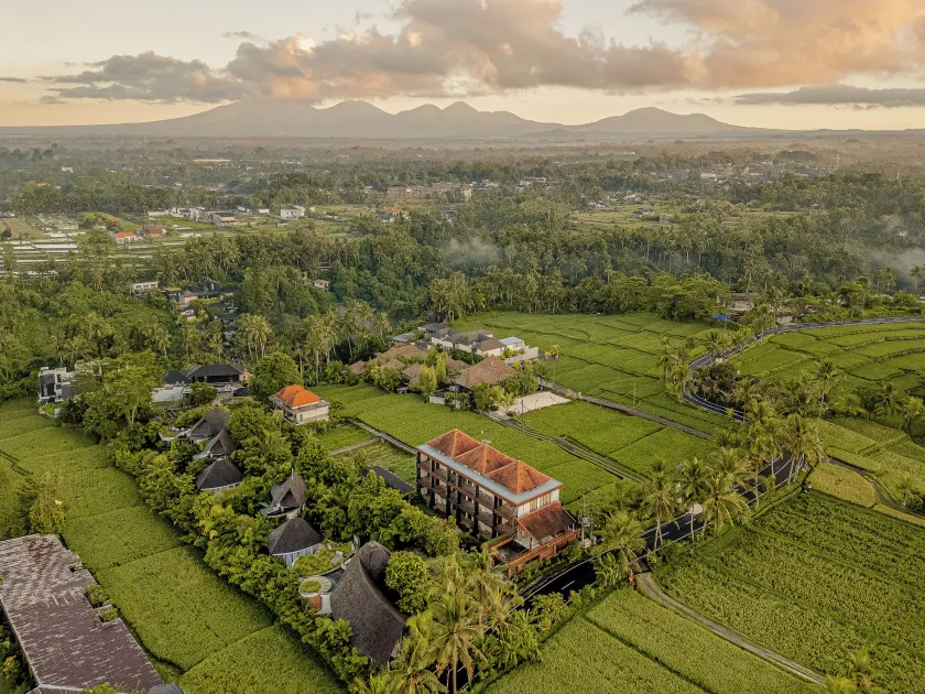 Paon Desa Ubud - Image 1