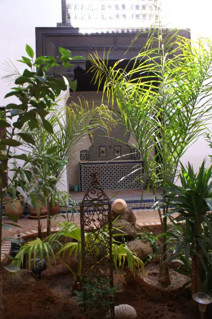 Riad Felloussia - Image 1