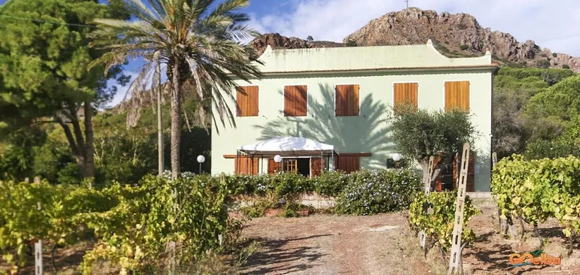 Villa Medina - Goelba - Image 1
