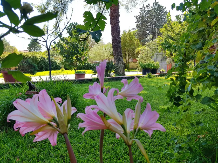 B&B Welcome - Image 1