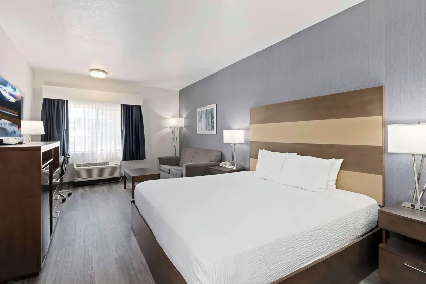 Best Western Plus Twin Falls Hotel - Image 1