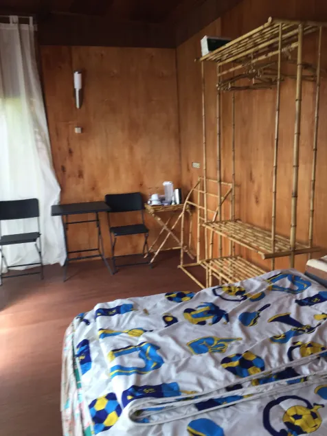ECO Bedugul adventurer camp - Image 1
