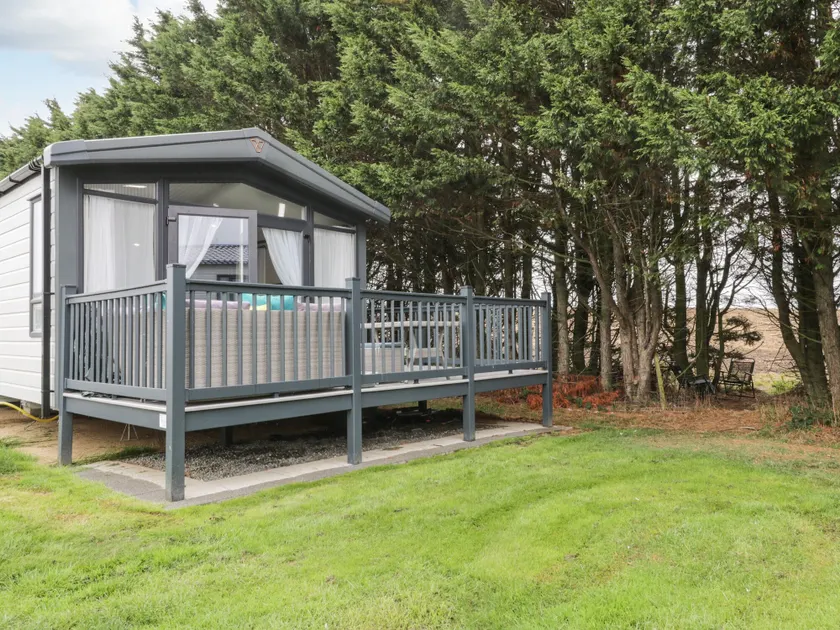 59 Finch - Image 1