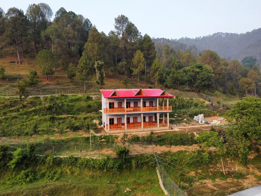Cortland Jungle Resort - Image 1