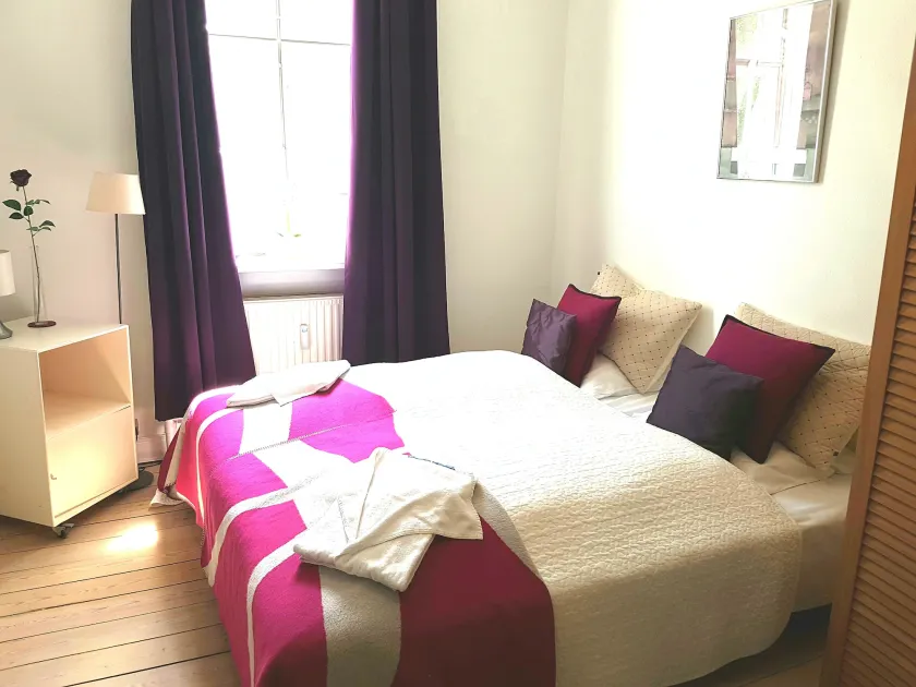 Classic Copenhagen City Apartment - Image 1