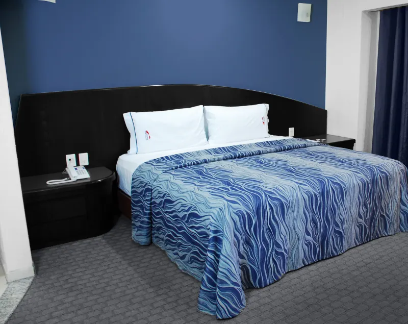 Hotel Concorde Toluca - Image 1
