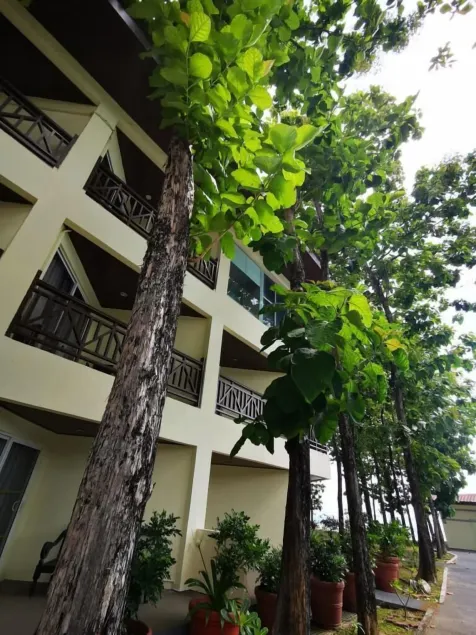 Century Langkasuka Resort Langkawi - Image 1