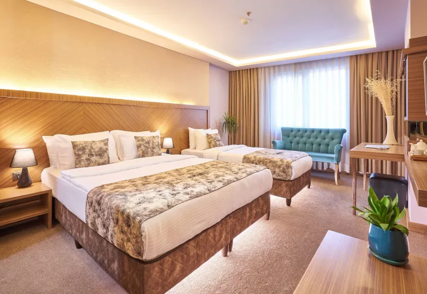 Atro Hotel - Image 1