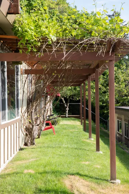 Cherry Tree Inn Victoria - Image 1