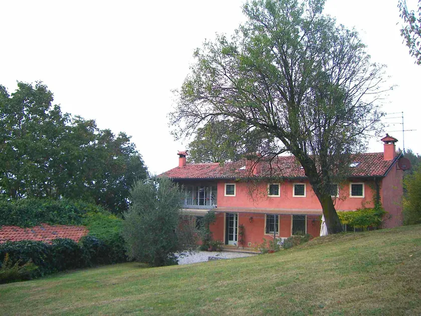 El pavejo - Image 1