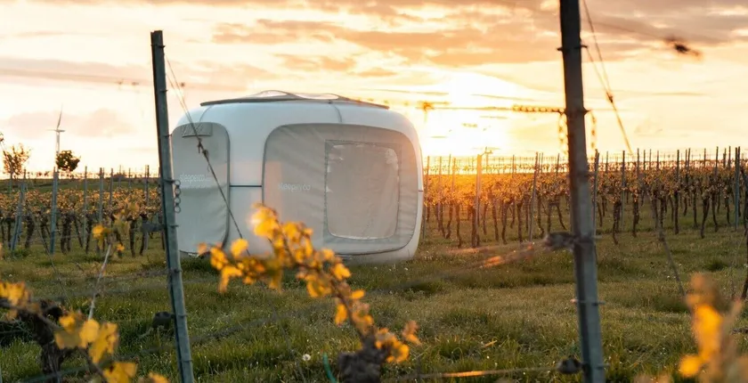 Romantik zwischen Weinreben - Cube - Image 1