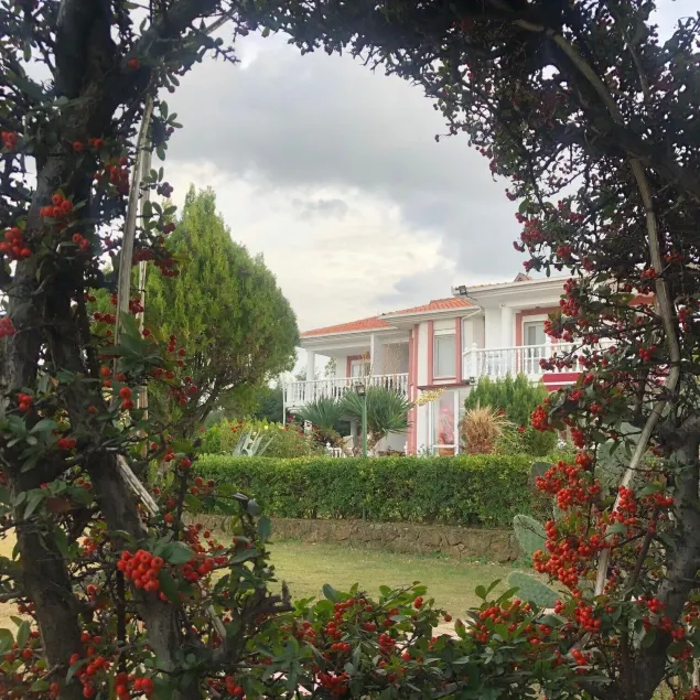 Cunda Aşiyan Otel - Image 1