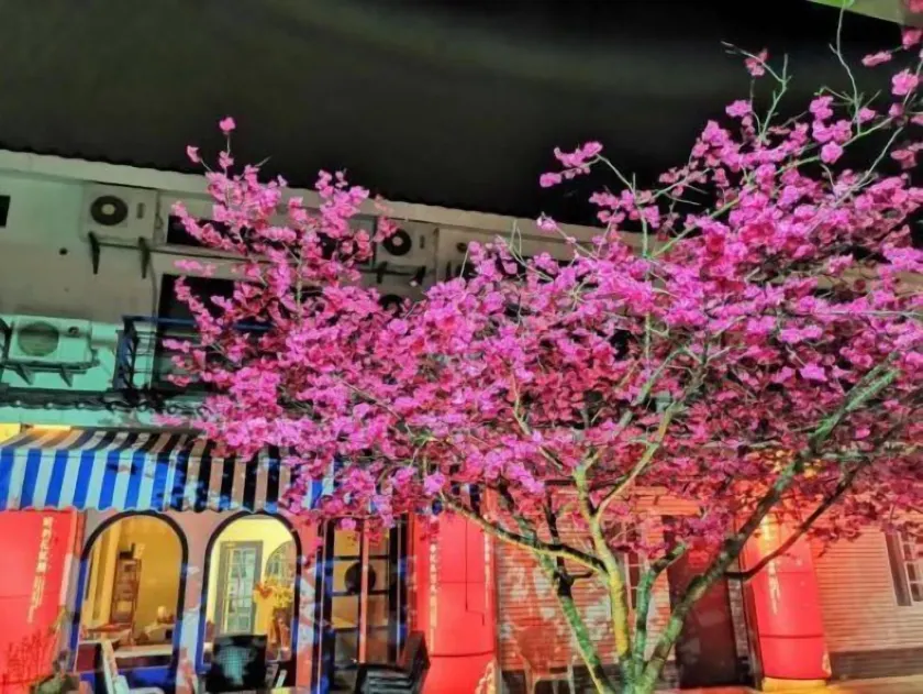 Sanyi Homestay - Image 1