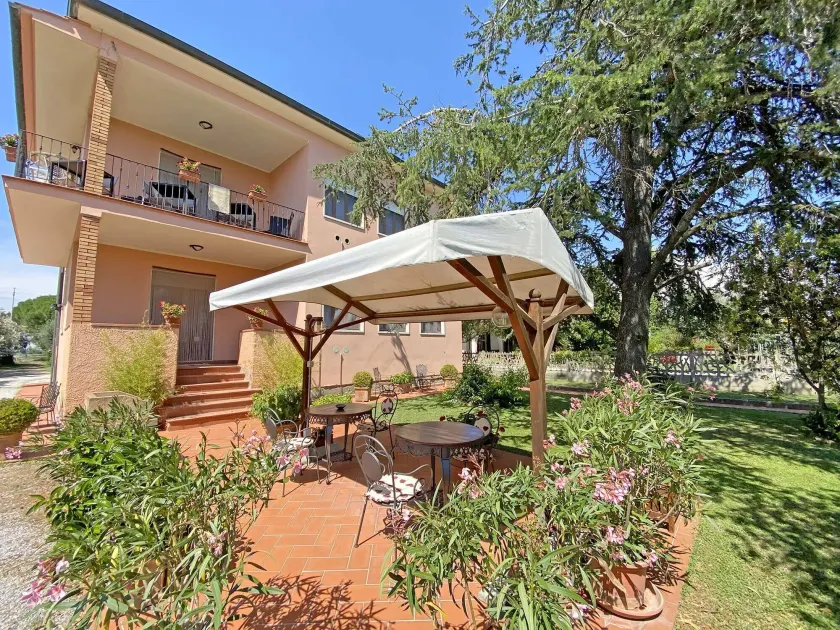 La Mimosa - Image 1