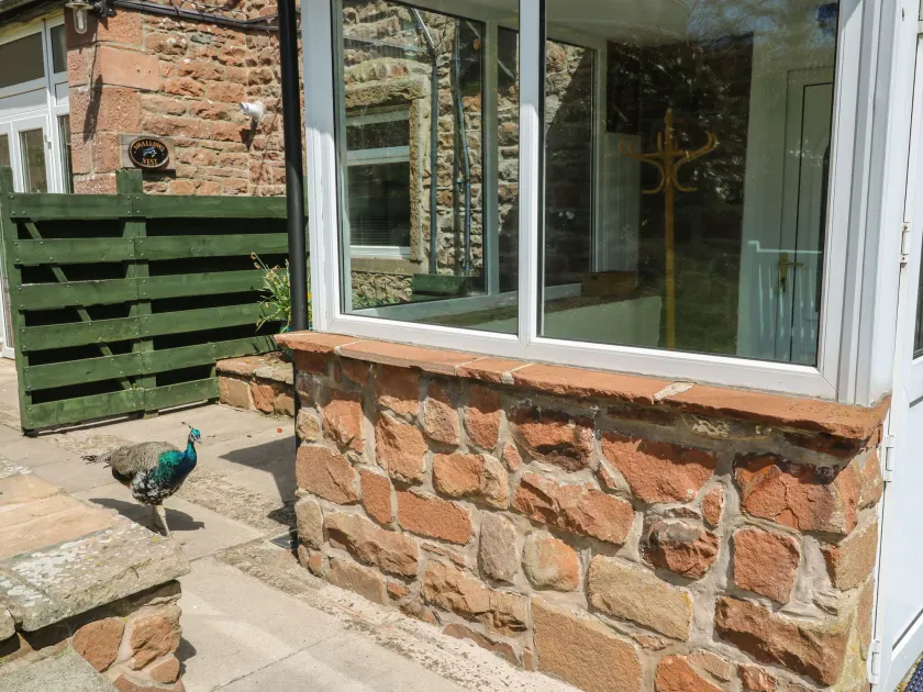 Mousehole Cottage - Image 1