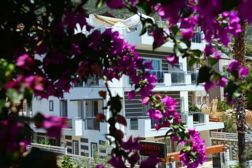 Neruda Hotel - Image 1