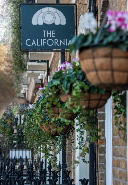 The California Hotel - Image 1