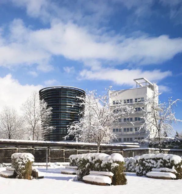 Parkhotel Hall in Tirol - Image 1